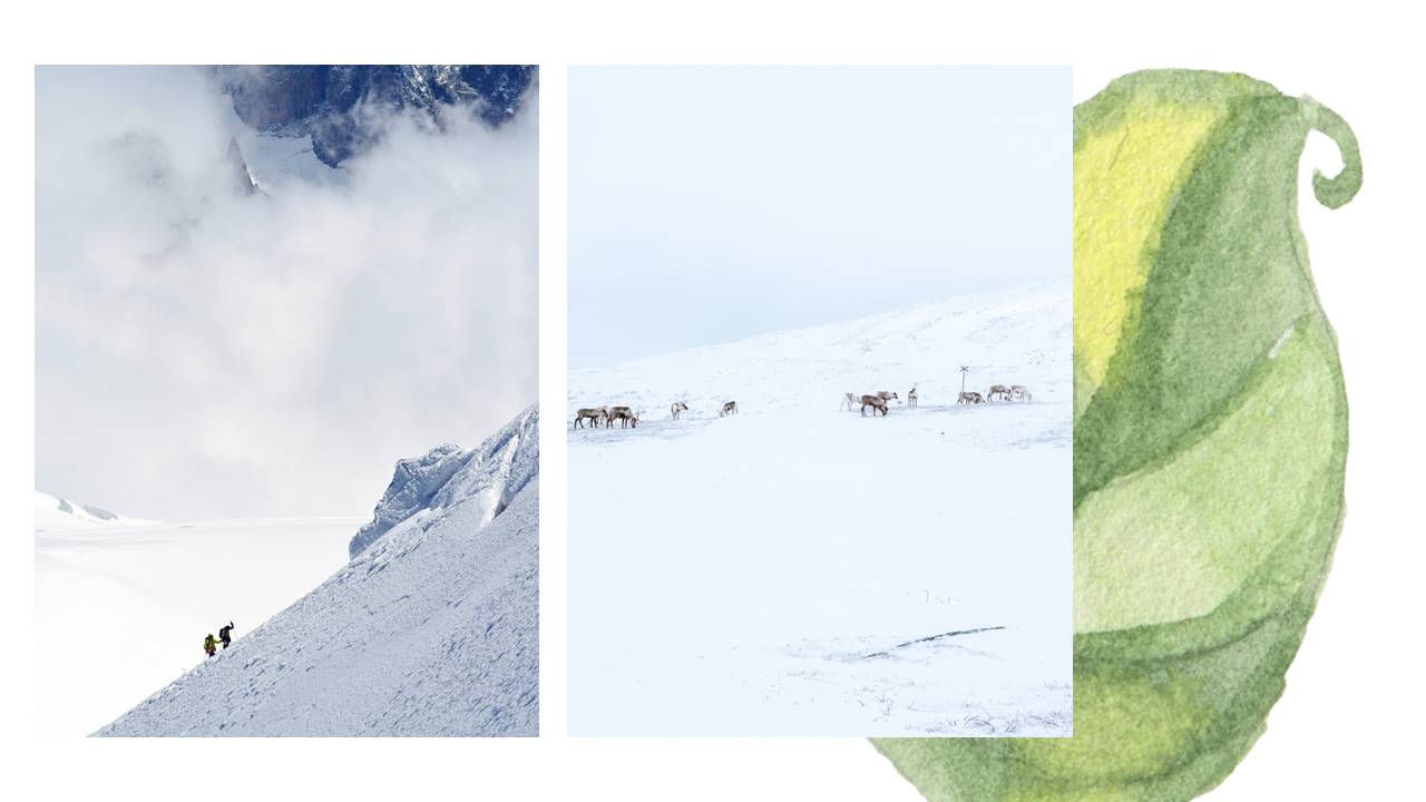 旅游画册 (57).pptx